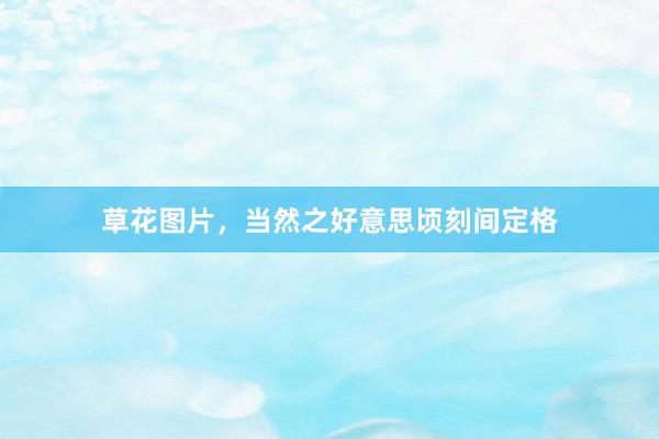 草花图片，当然之好意思顷刻间定格